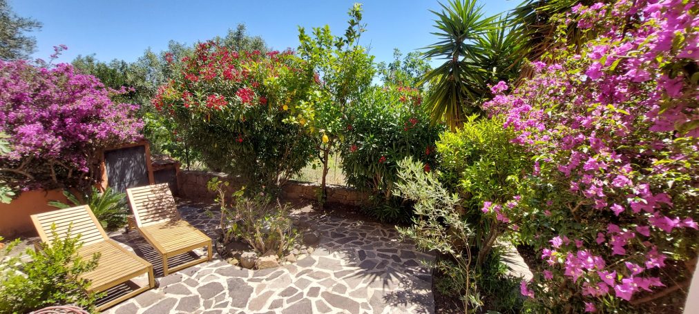 Blick in den Garten